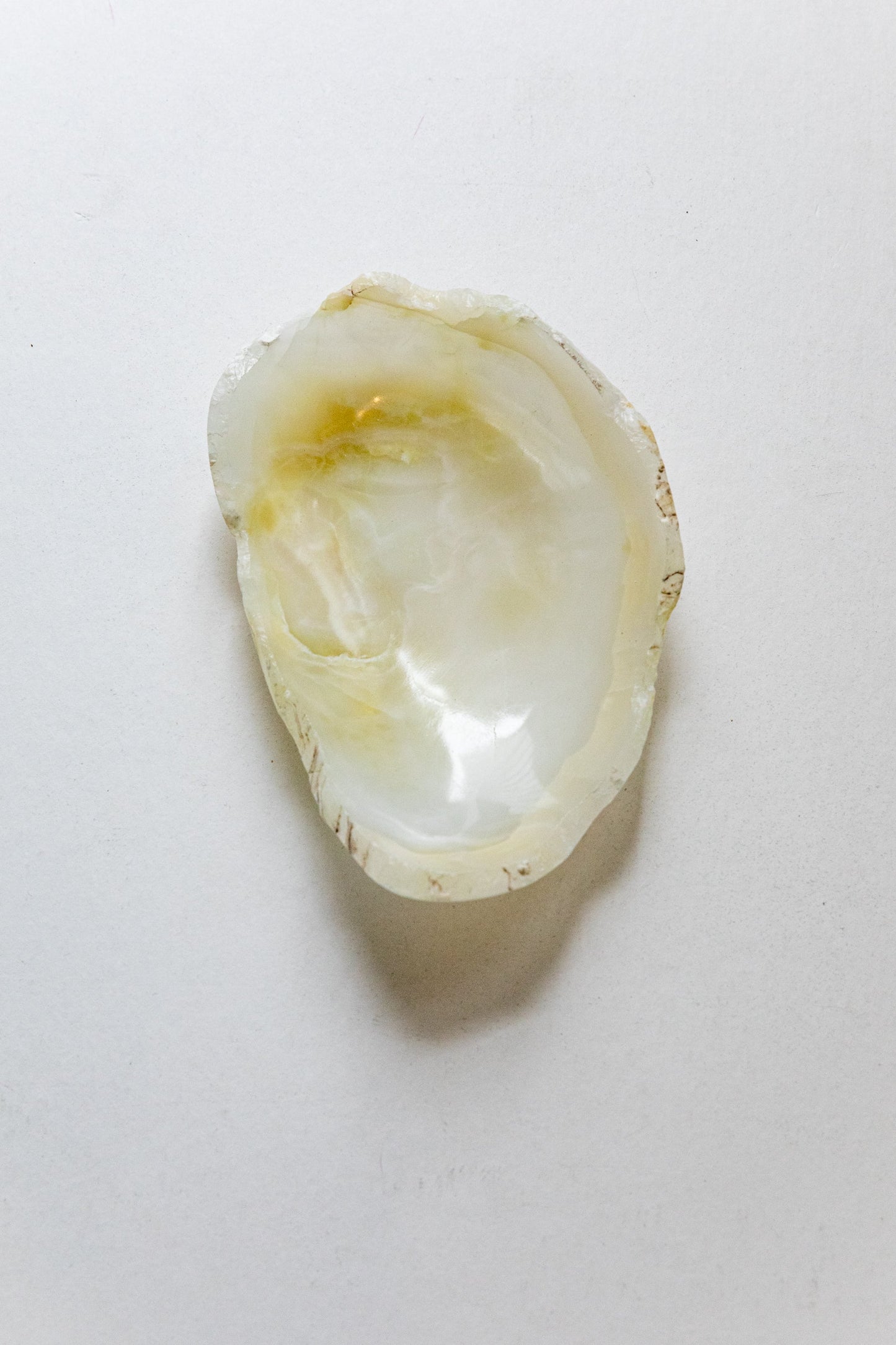 Onyx Catch-All 013