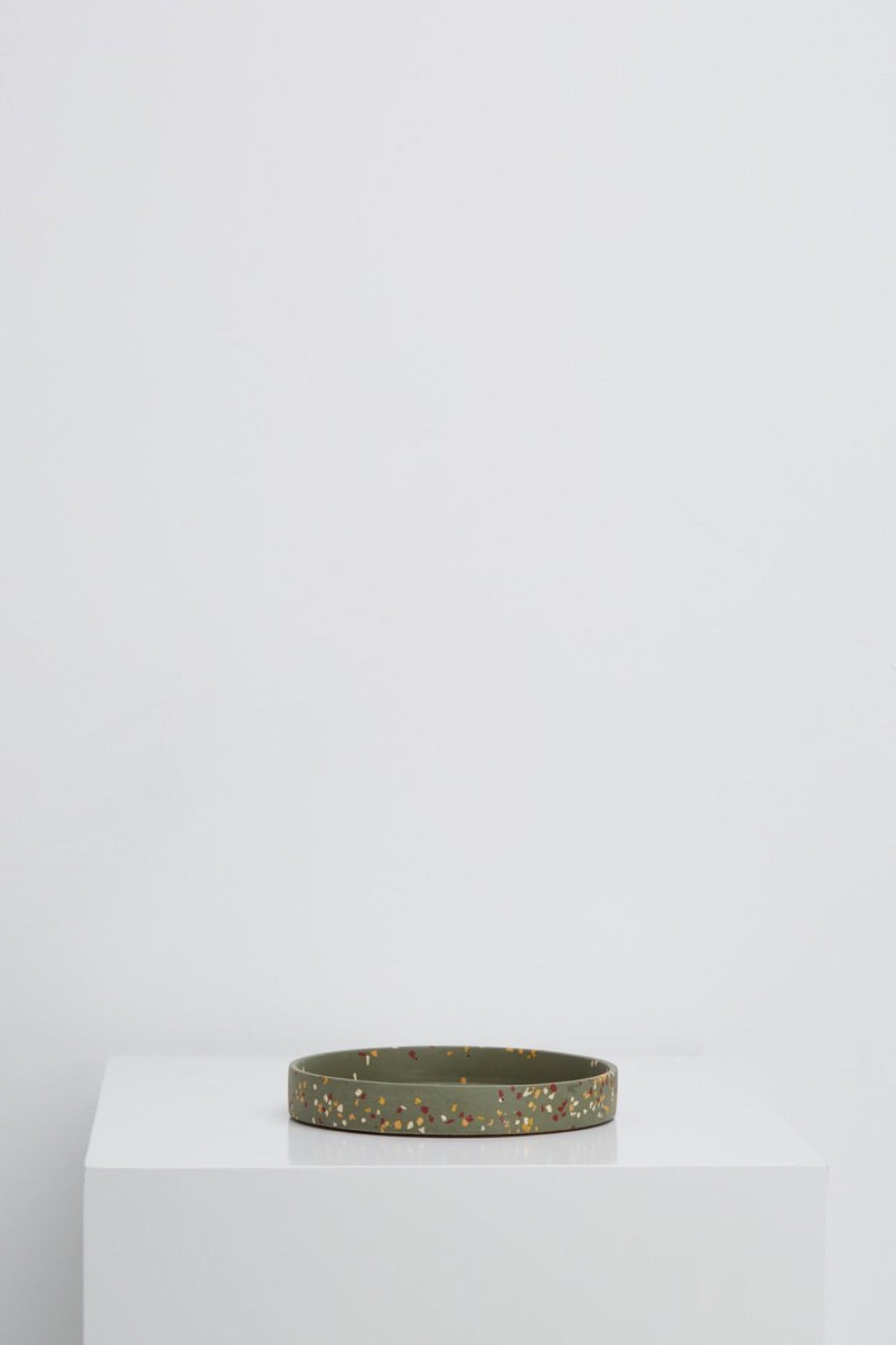 Medium Agave Terrazzo Tray