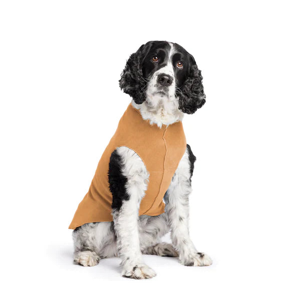 Goldpaw: DOG STRETCH FLEECE | Chipmunk (NEW!)