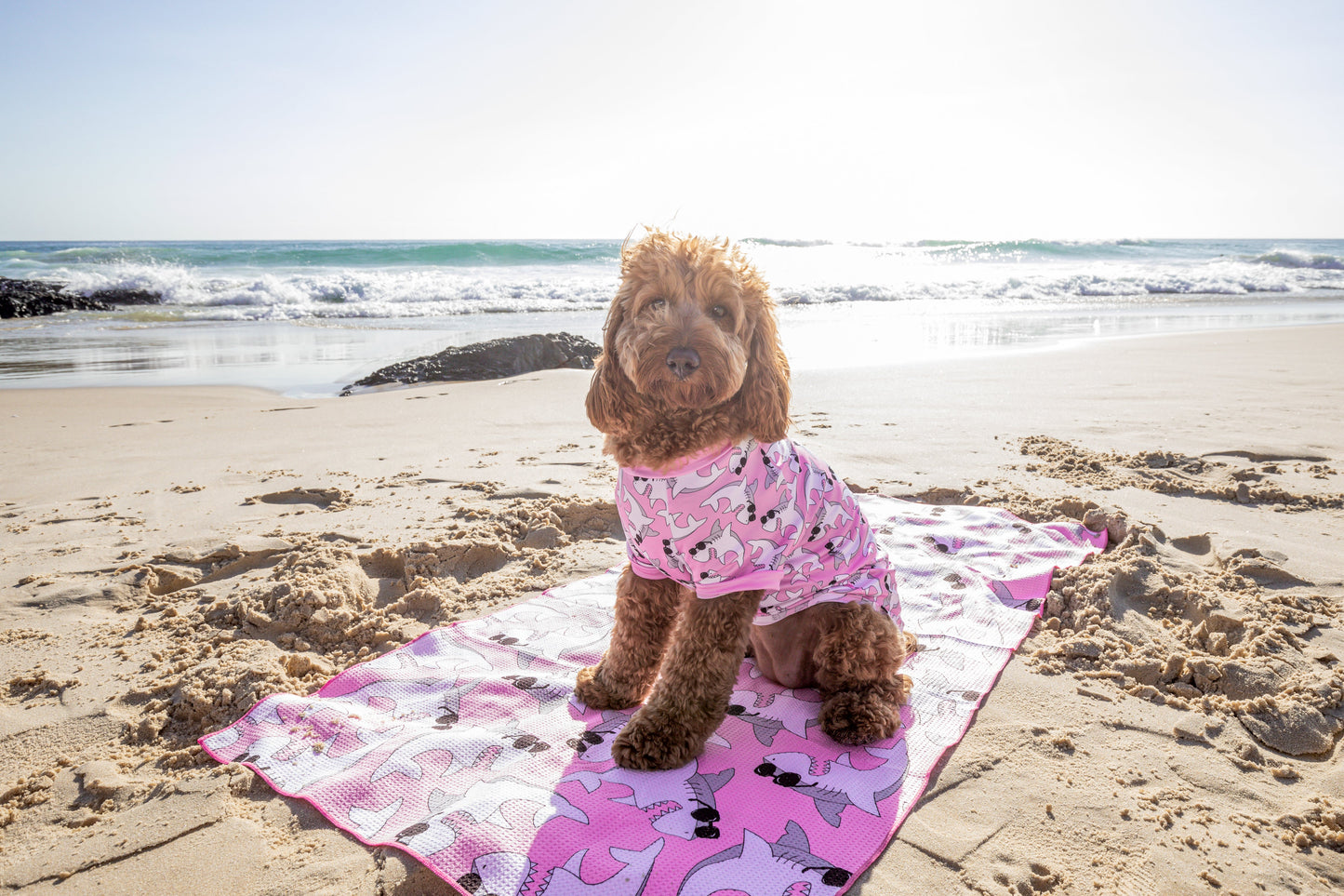 DOG BEACH RASHIE: Bite Me (Pink Version) {FINAL SALE}