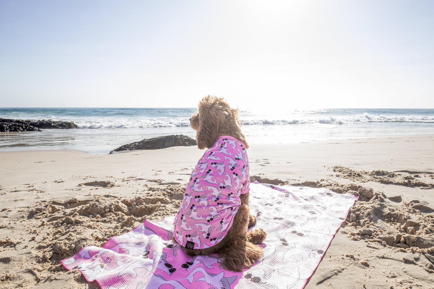 DOG BEACH RASHIE: Bite Me (Pink Version) {FINAL SALE}
