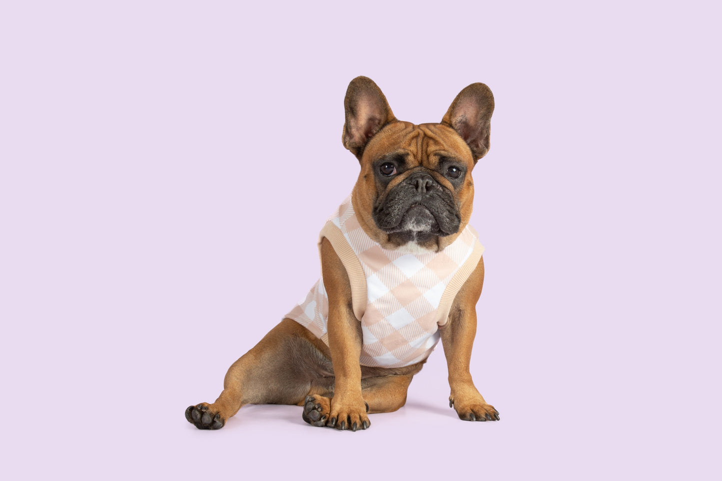 DOG FLEECE PYJAMAS: Latte Gingham