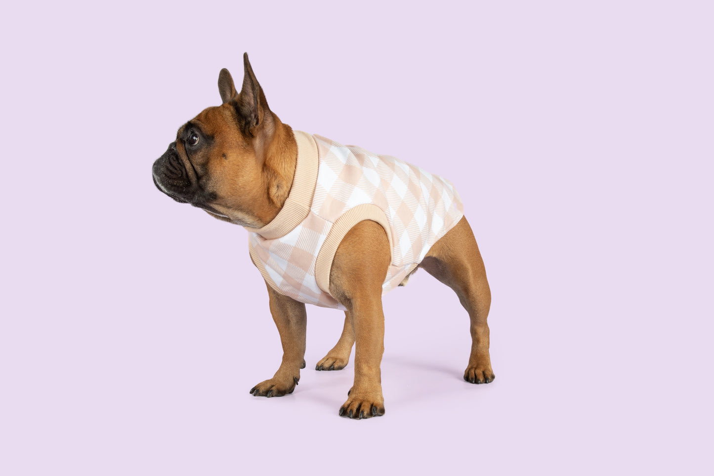DOG FLEECE PYJAMAS: Latte Gingham