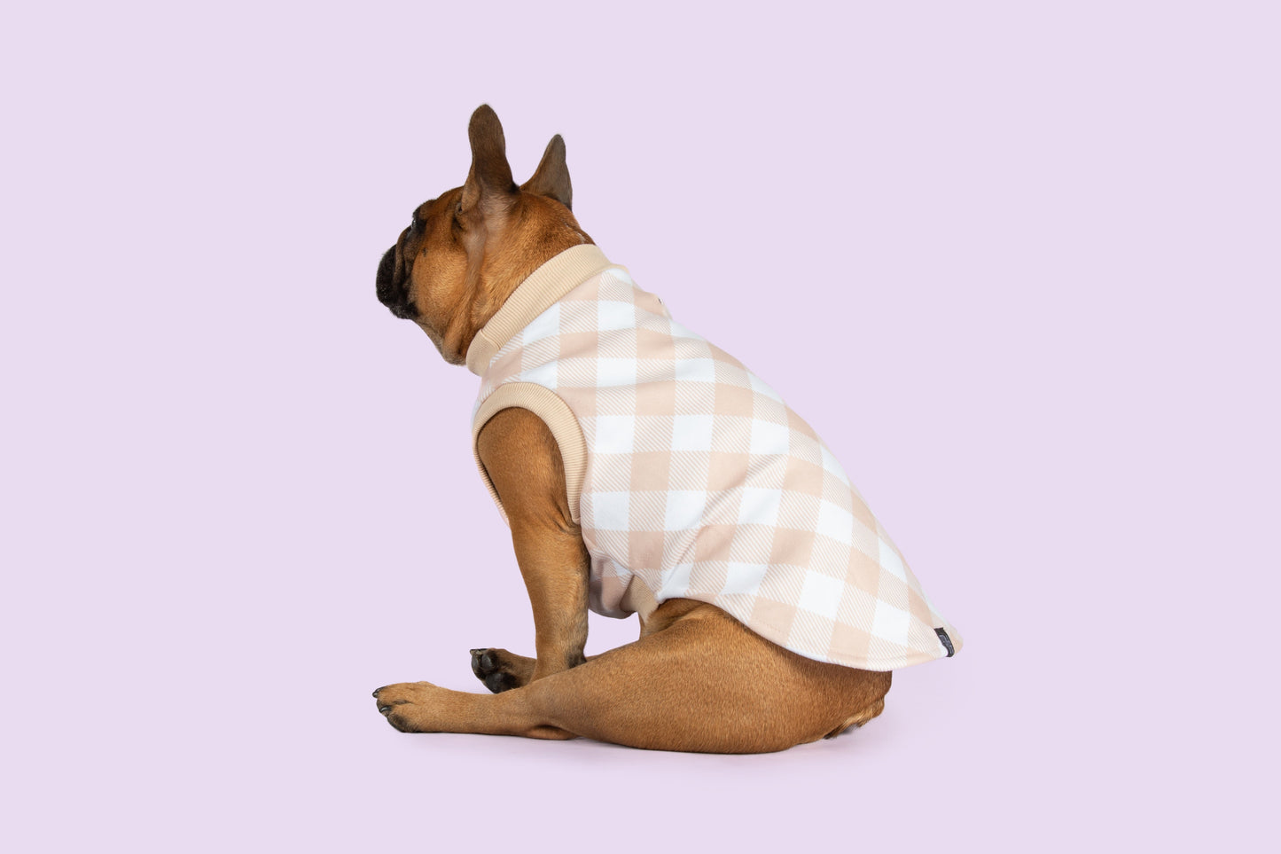 DOG FLEECE PYJAMAS: Latte Gingham