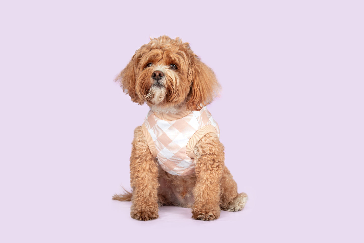DOG FLEECE PYJAMAS: Latte Gingham