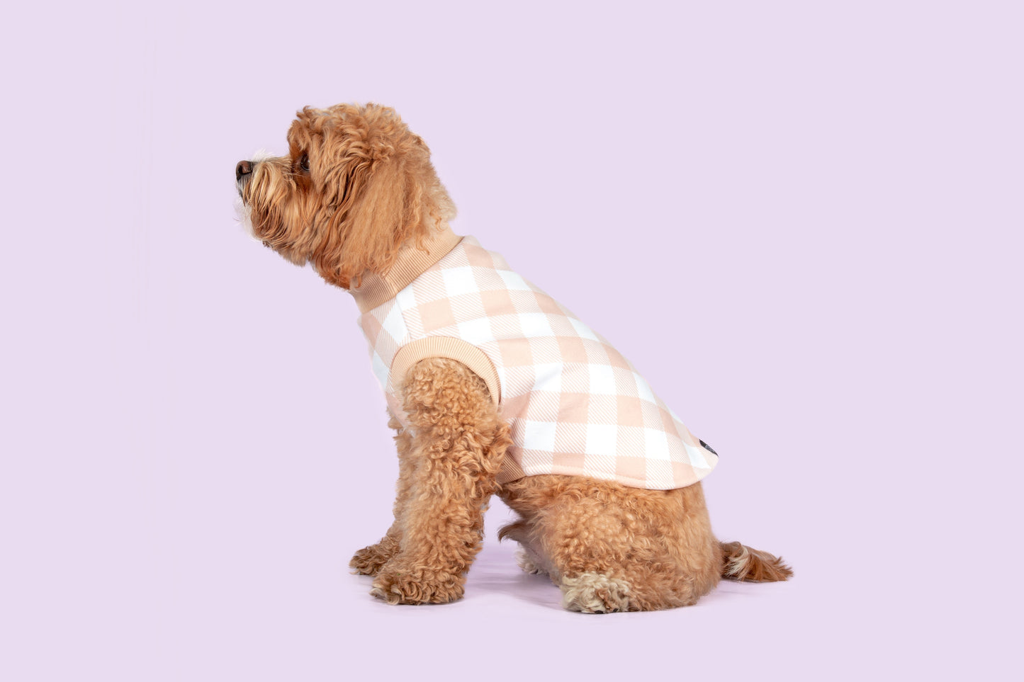 DOG FLEECE PYJAMAS: Latte Gingham