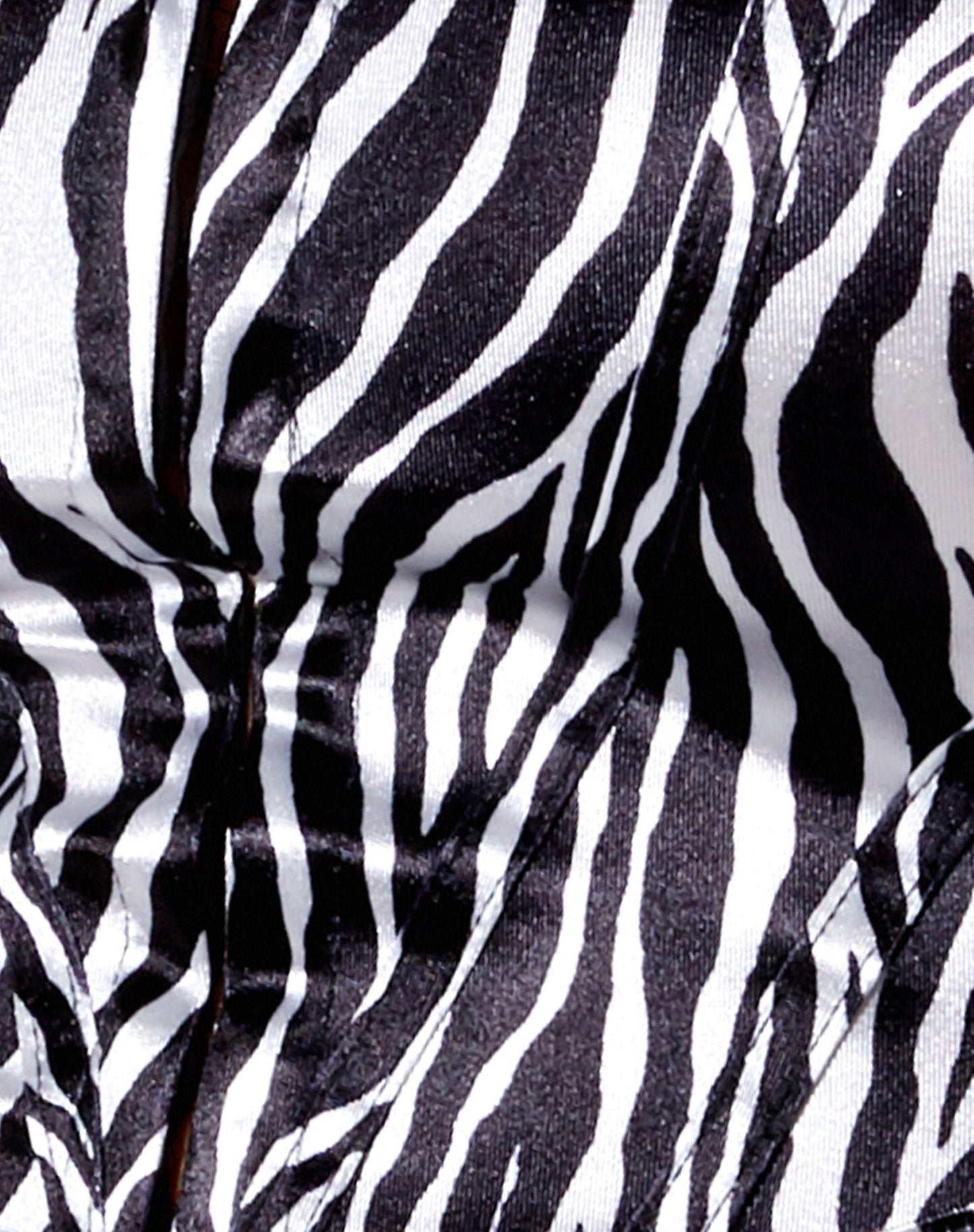 Elci Corset Top in Zebra Vertical