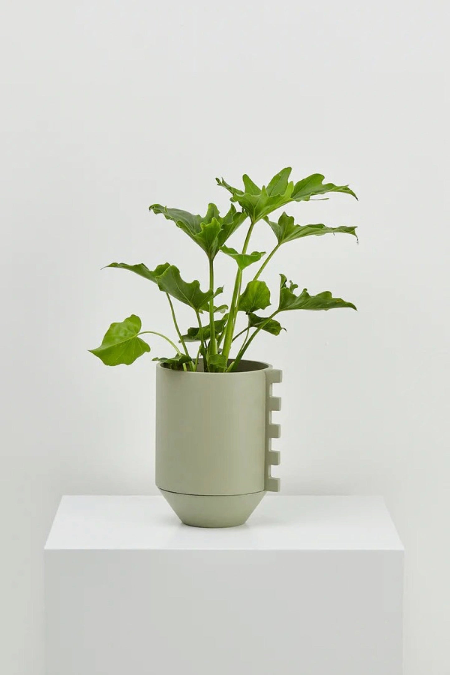 Gum Leaf Zip Feature Planter