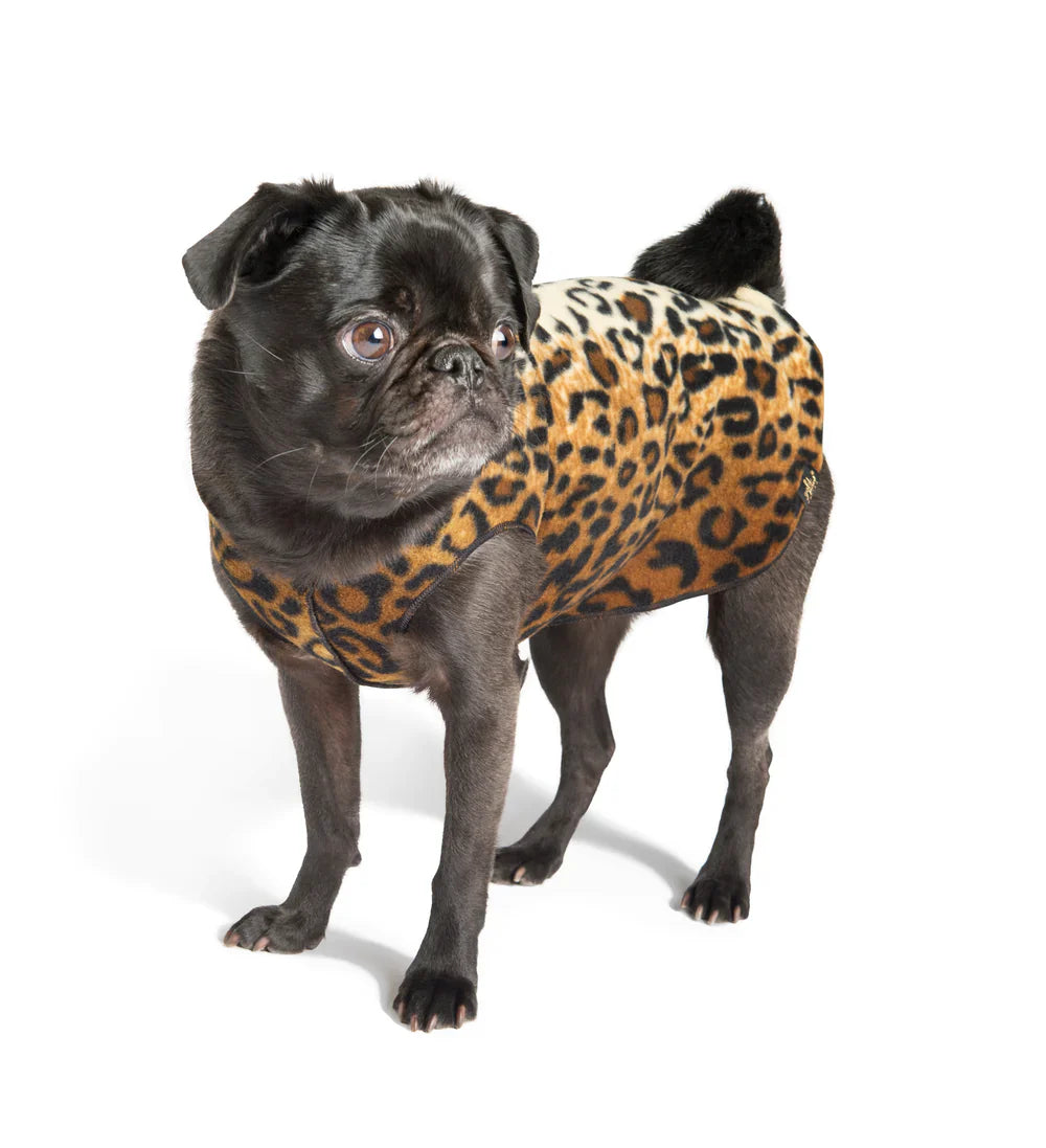 Goldpaw: DOG STRETCH FLEECE | Leopard (NEW!)