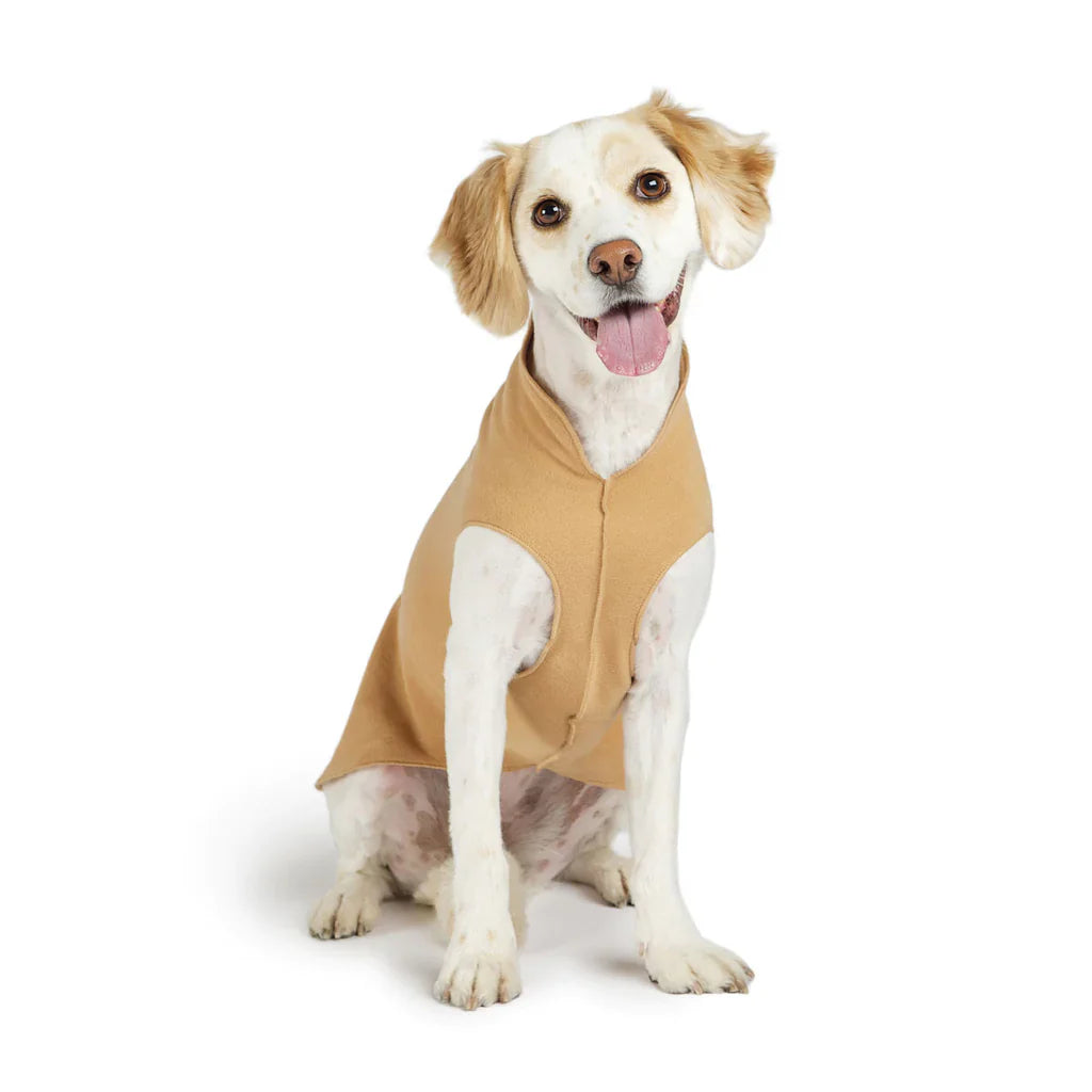 Goldpaw: DOG STRETCH FLEECE | Chipmunk (NEW!)