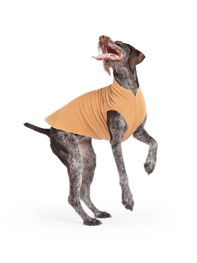 Goldpaw: DOG STRETCH FLEECE | Chipmunk (NEW!)