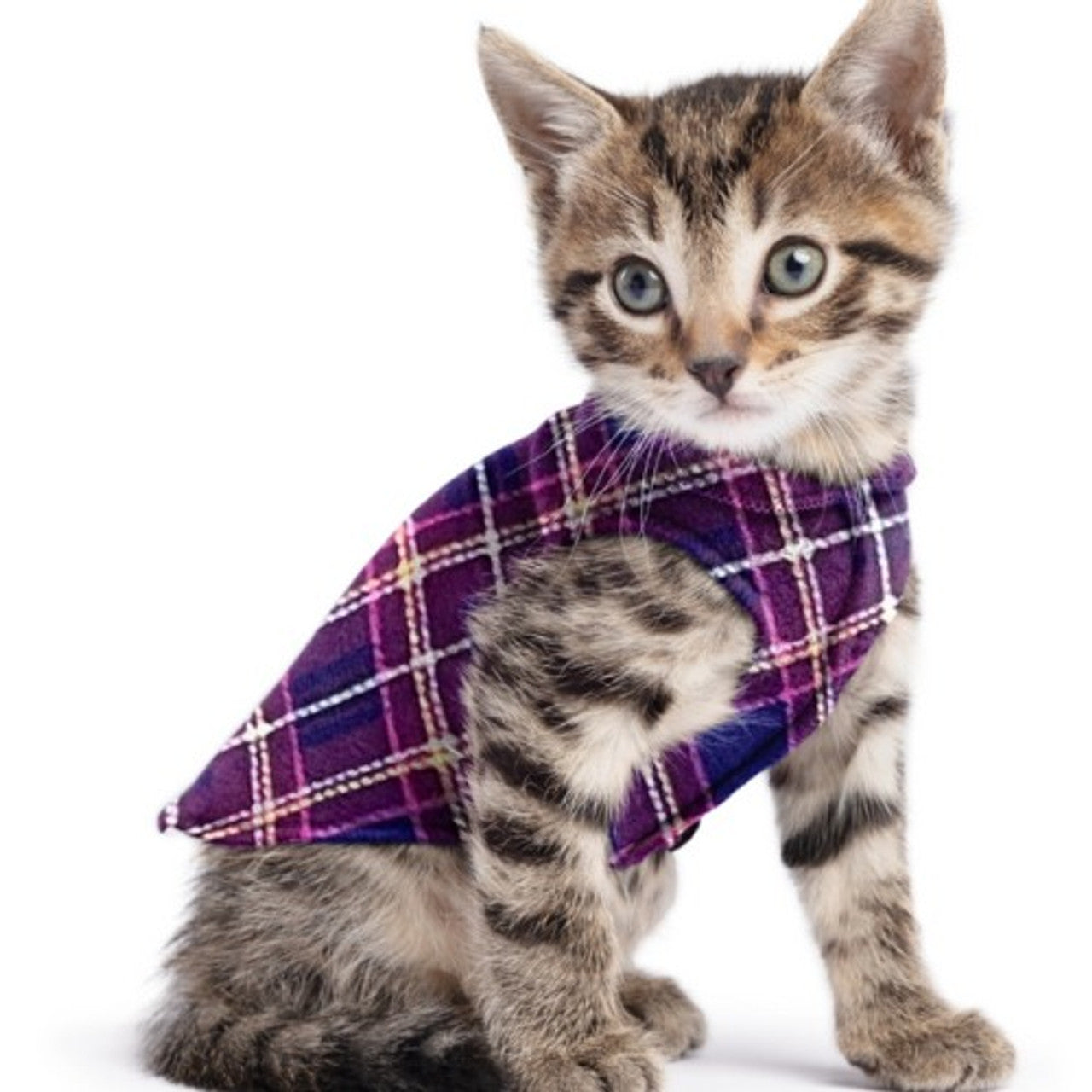 Goldpaw: DOG STRETCH FLEECE | Mulberry Plaid (NEW!)