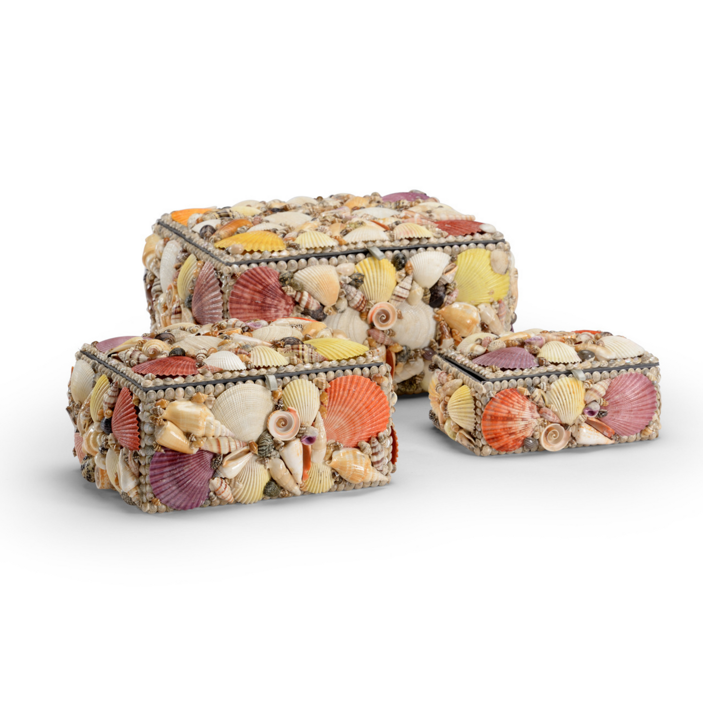Multicolored Shell Box