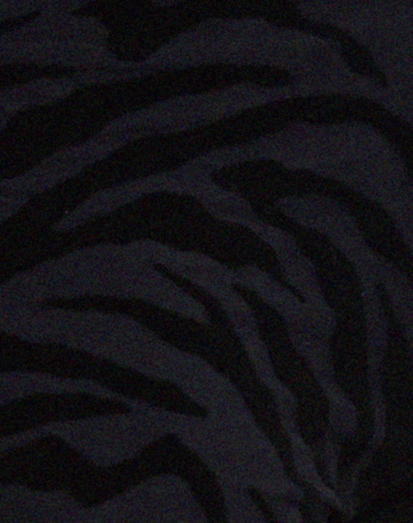 Nancha Flare Trouser in Zebra Flock Black
