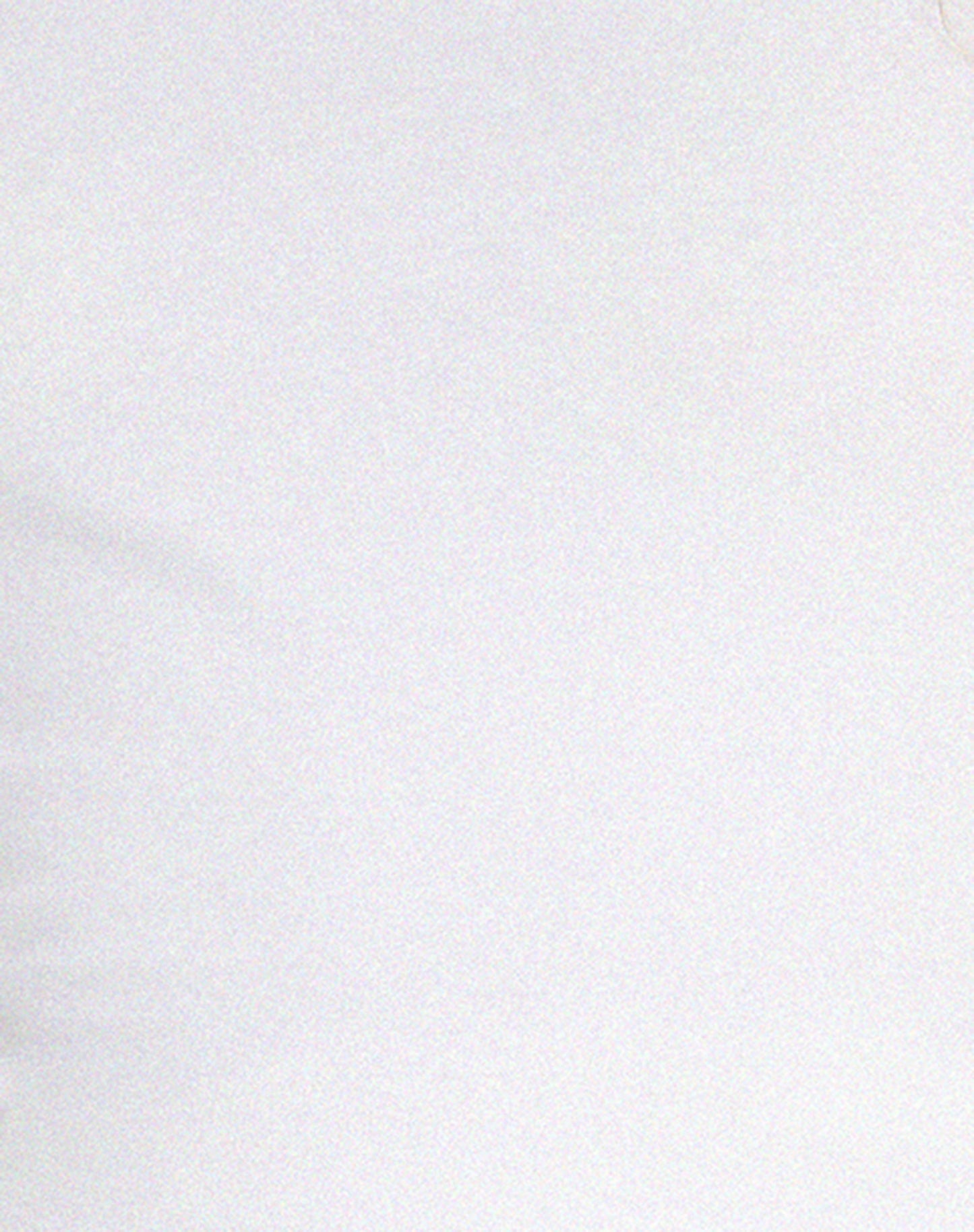 Pico Bardot Top in White