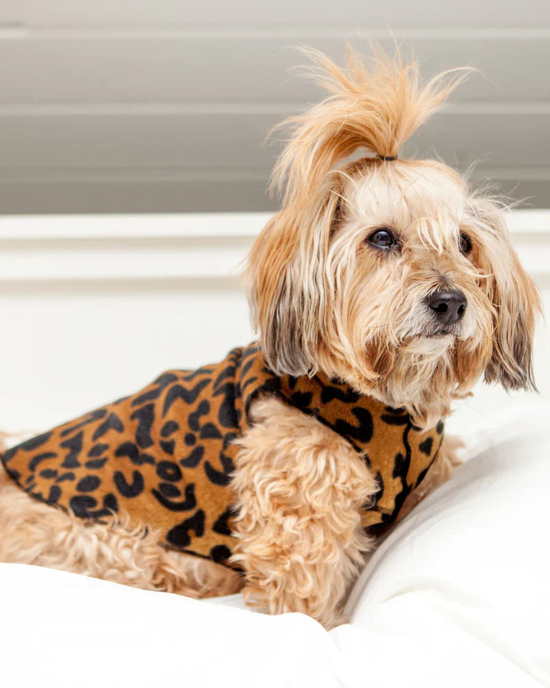 Goldpaw: DOG STRETCH FLEECE | Leopard (NEW!)
