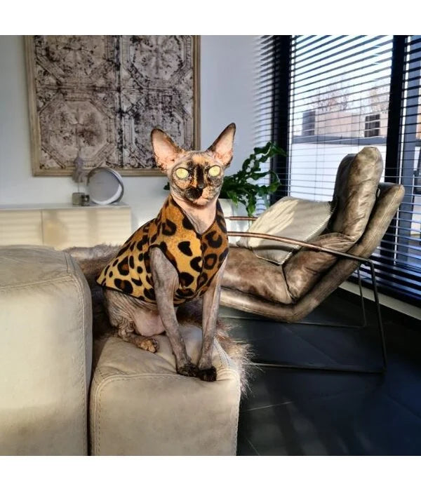 Goldpaw: DOG STRETCH FLEECE | Leopard (NEW!)