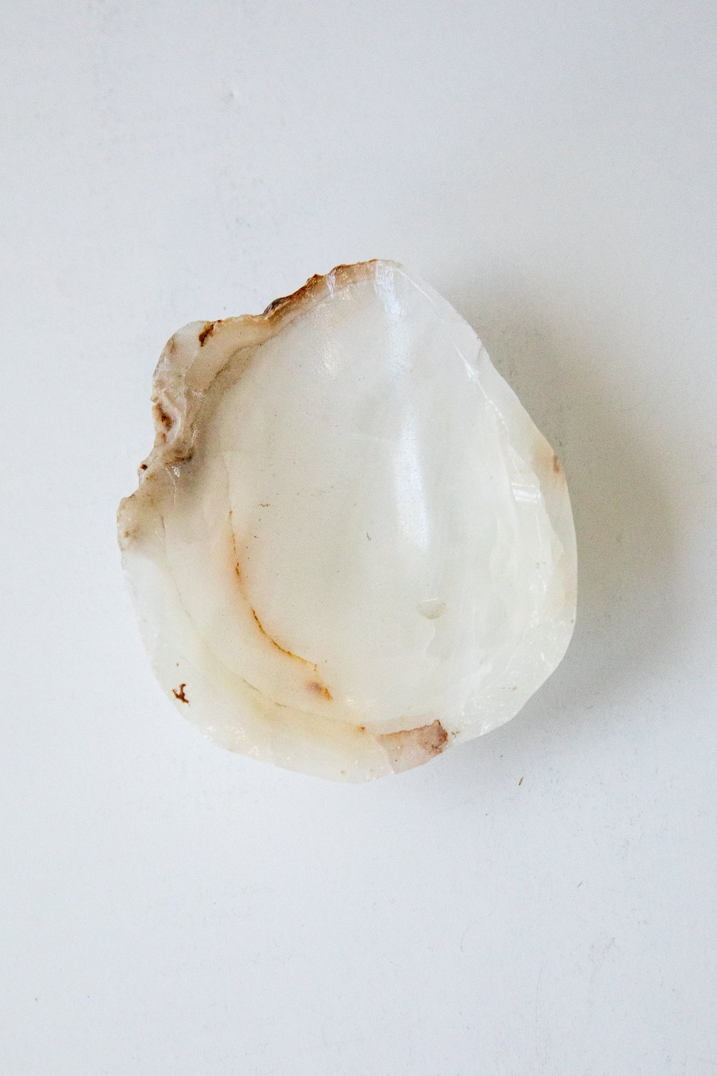 Mini Onyx Catch-All