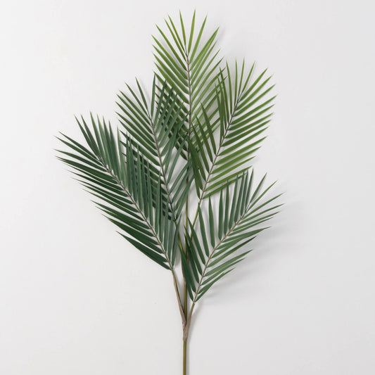 PALM SPRAY  12"L x.25"W x32"