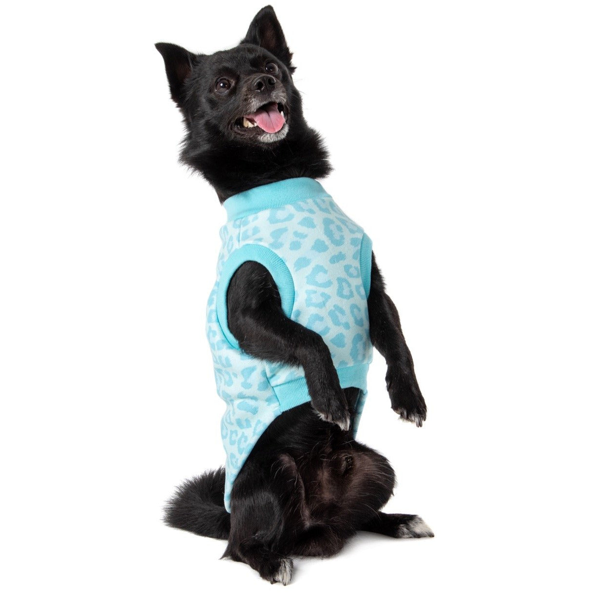 DOG FLEECE PYJAMAS: Turquoise Leopard {FINAL SALE}