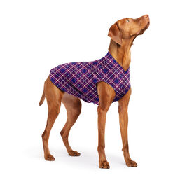 Goldpaw: DOG STRETCH FLEECE | Mulberry Plaid (NEW!)