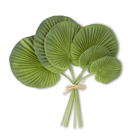 Bundle of 6 Fan Palm