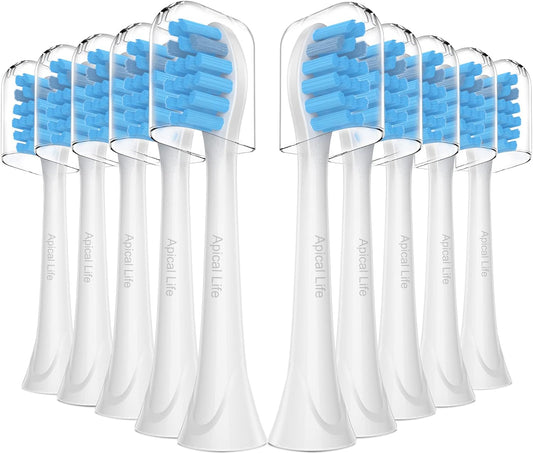 Replacement Brush Head Compatible with Philips Sonicare Replacement Heads Apical Life Toothbrush Heads Compatible with Philips Sonicare Snap-on Toothbrushes Heads 10 Pack