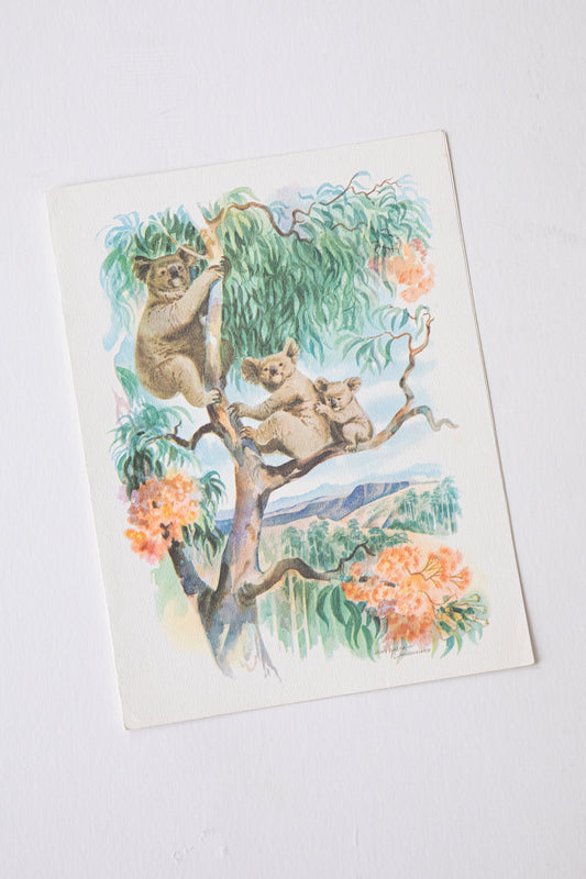 Australia Landscape Print