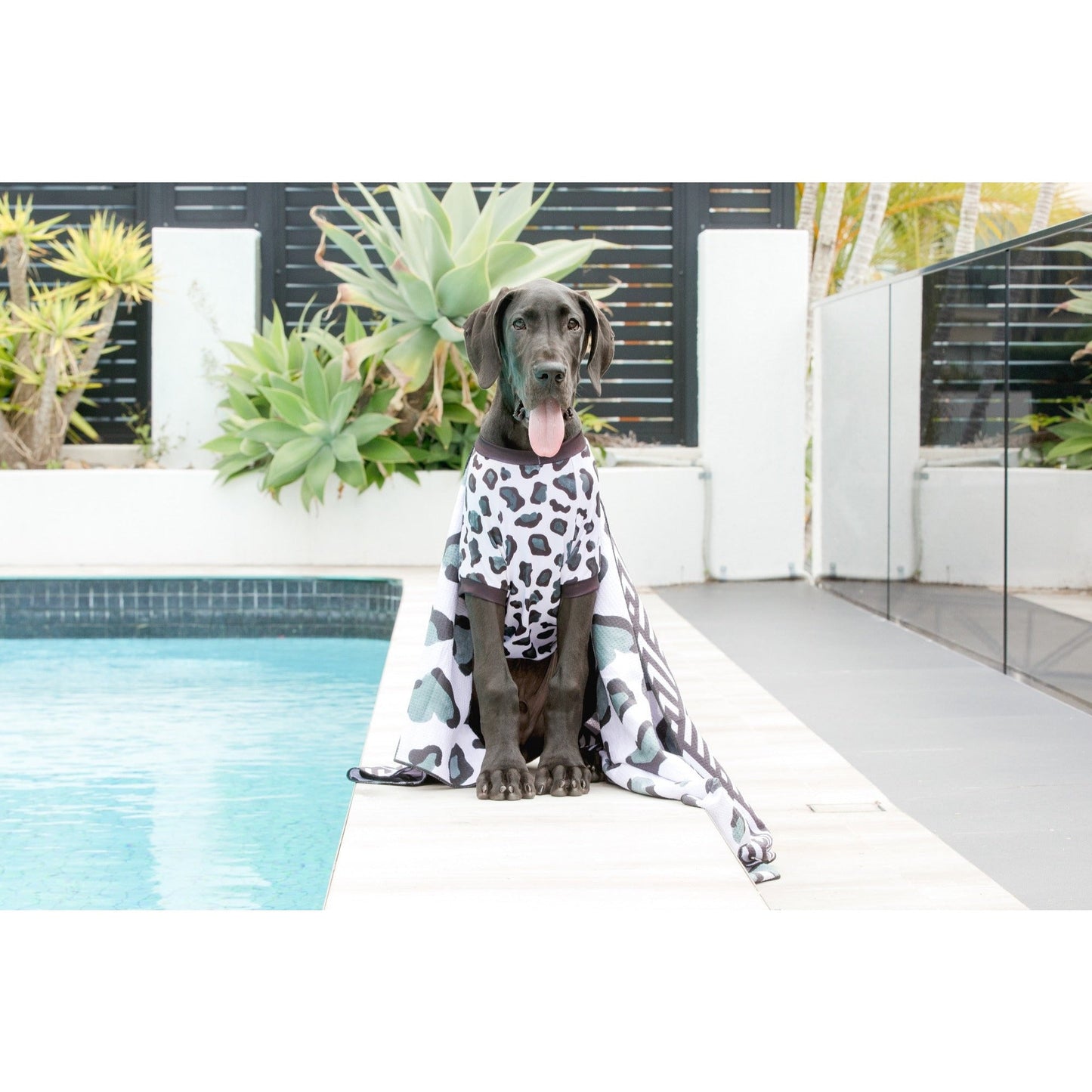 DOG BEACH RASHIE: Leopard {FINAL SALE}