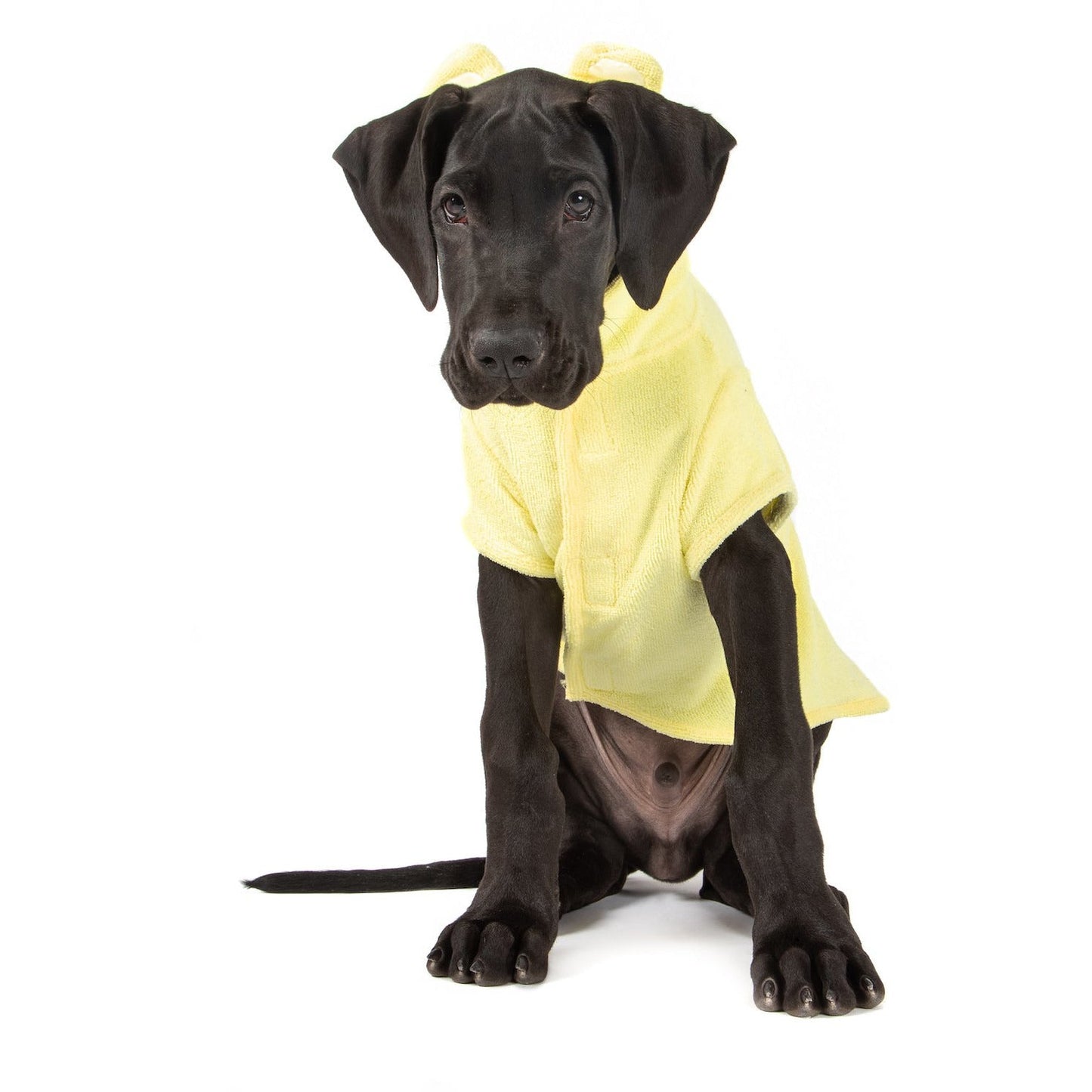DOG BATH ROBE: Lemon {FINAL SALE}