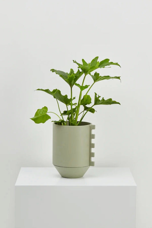 Gum Leaf Zip Feature Planter