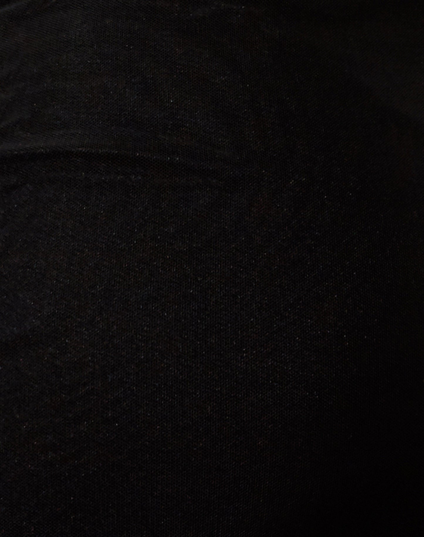 Olga Bodycon Dress in Mesh Black