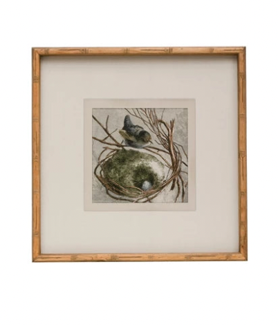 Framed Bird Print - Madison's Niche