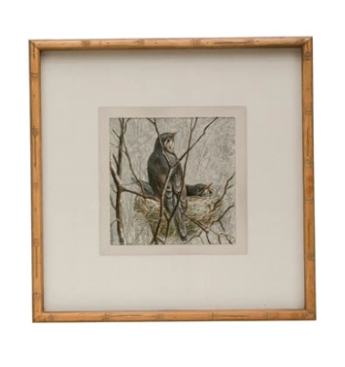 Framed Bird Print - Madison's Niche