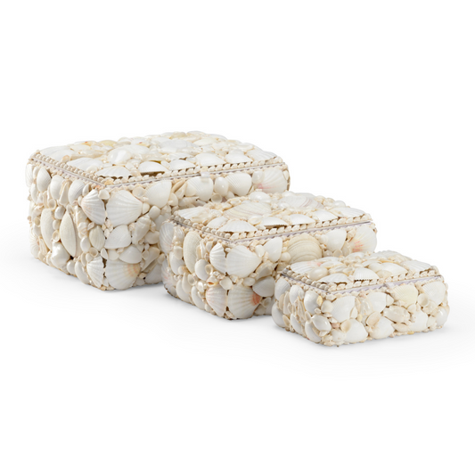 White Shell Box