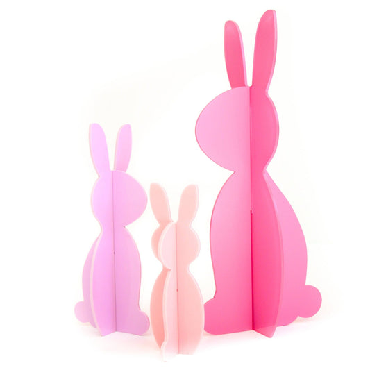 PINK ACRYLIC BUNNY SET