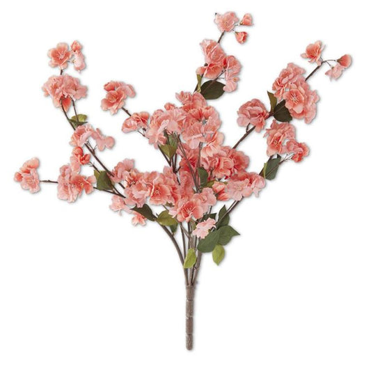 Coral Peach Blossom Bush - Madison's Niche