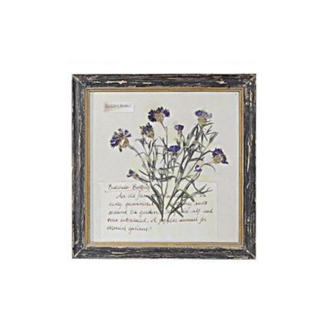 Floral Framed Wall Art - Madison's Niche