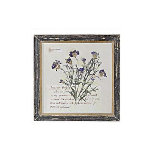 Floral Framed Wall Art - Madison's Niche