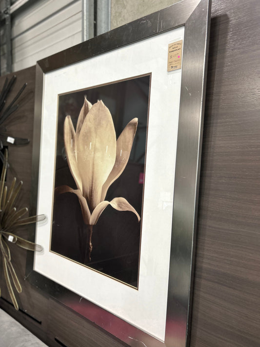 Framed Flower Artwork
