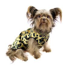 Goldpaw: DOG STRETCH FLEECE | Leopard (NEW!)