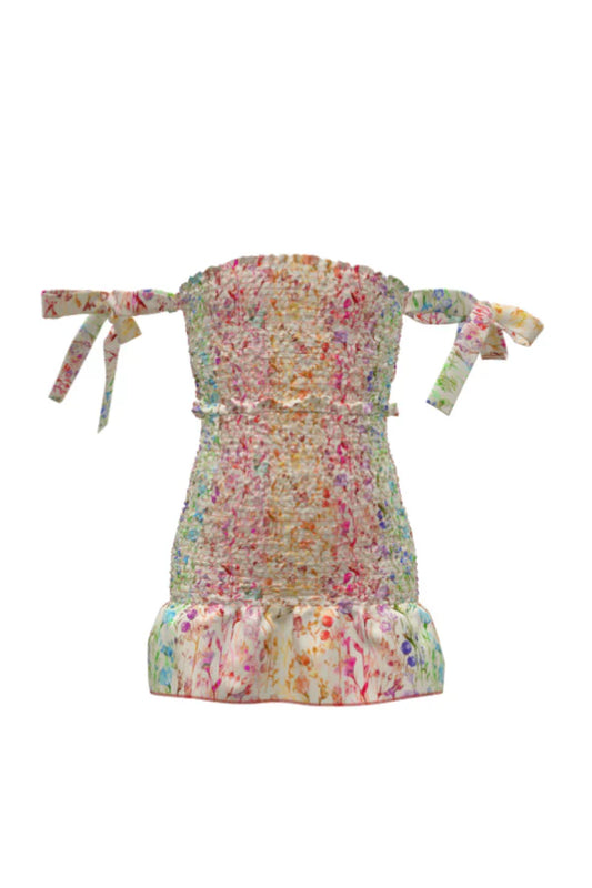Waverly Dress, Ombre Watercolor